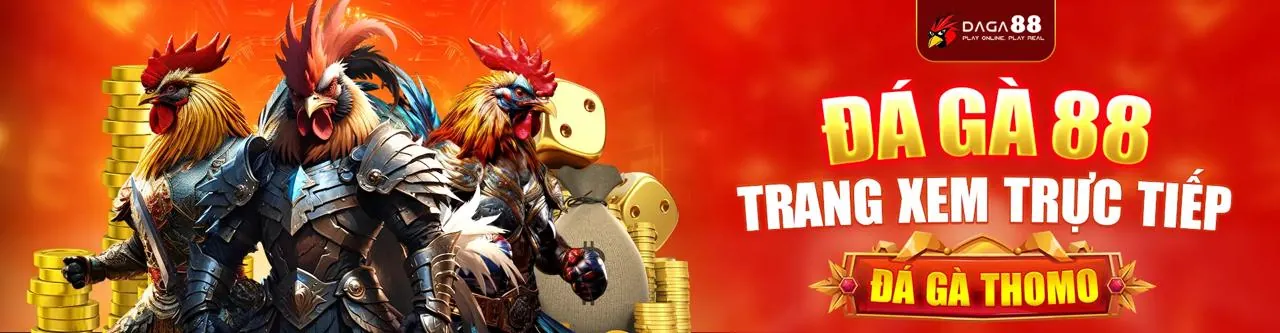 Sân đấu đá gà trực tuyến sôi động tại 8x88